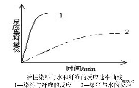 定型机,涂层机,地毯机,地毯背胶机,静电植绒机