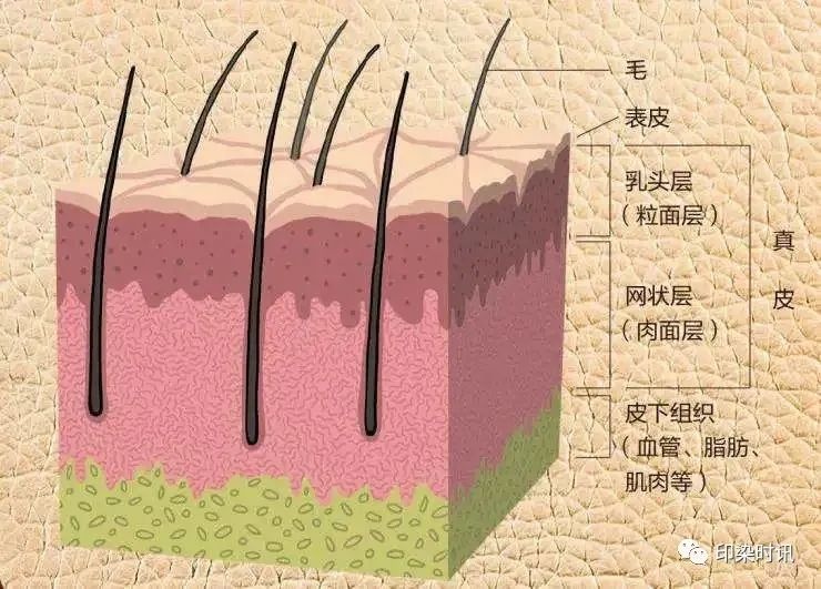 定型机,涂层机,地毯机,地毯背胶机,静电植绒机